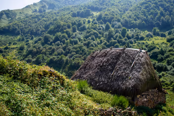 Teito en la Braña de La Pornacal