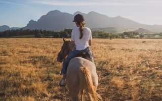 Rutas a caballo